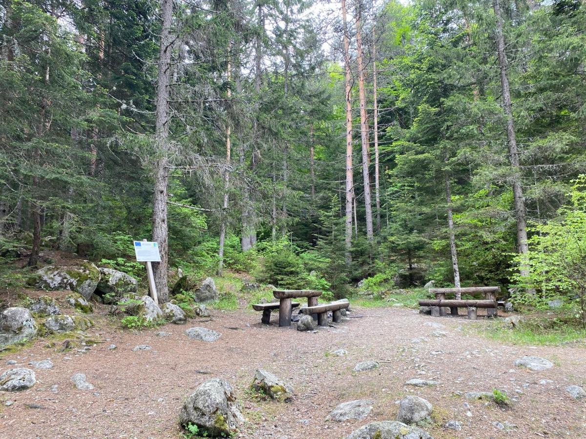 Luxury Private Studio In Green Life Bansko Bagian luar foto